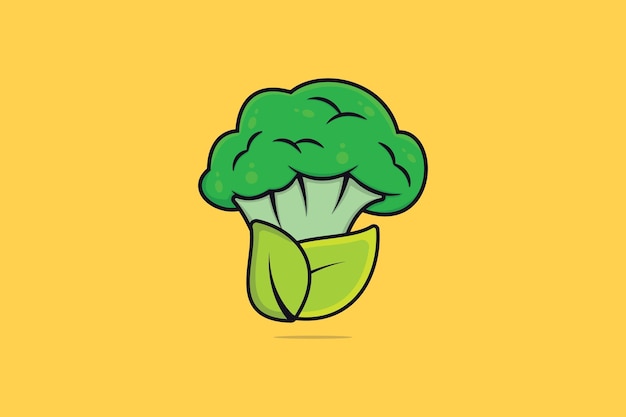 Fresh Broccoli with Green Leaves vector illustration Food nature icon concept