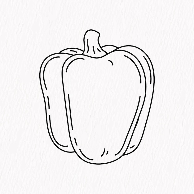 Fresh Capsicum vegetable hand drawn line art. Vegetarian salad recipe design.