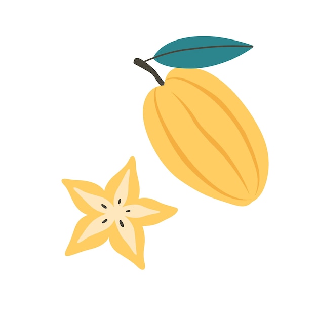 Vector fresh carambola, star fruit. exotic and tropical fruit. healthy food