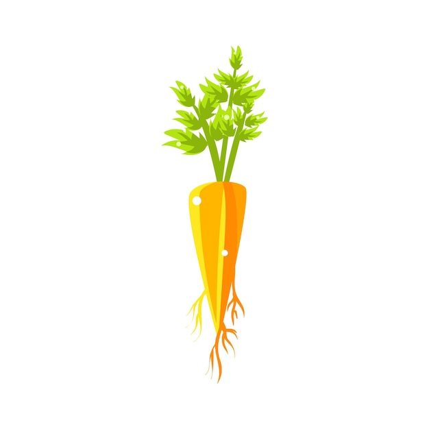 Fresh Carrot Primitive Realistic Illustration