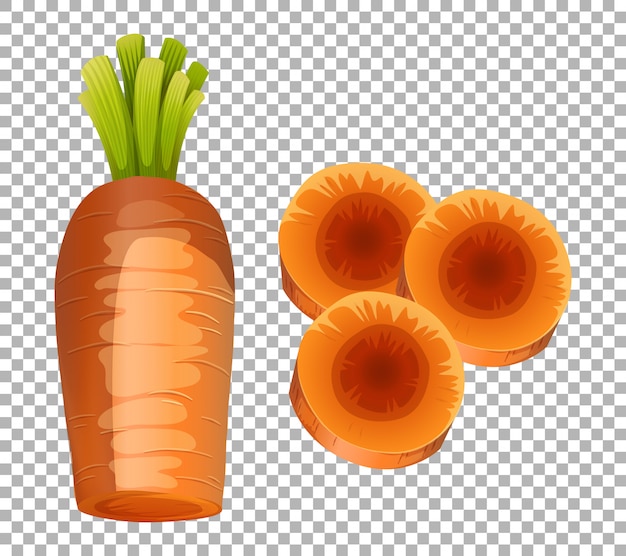 Вектор Свежие ломтики моркови на прозрачном фоне