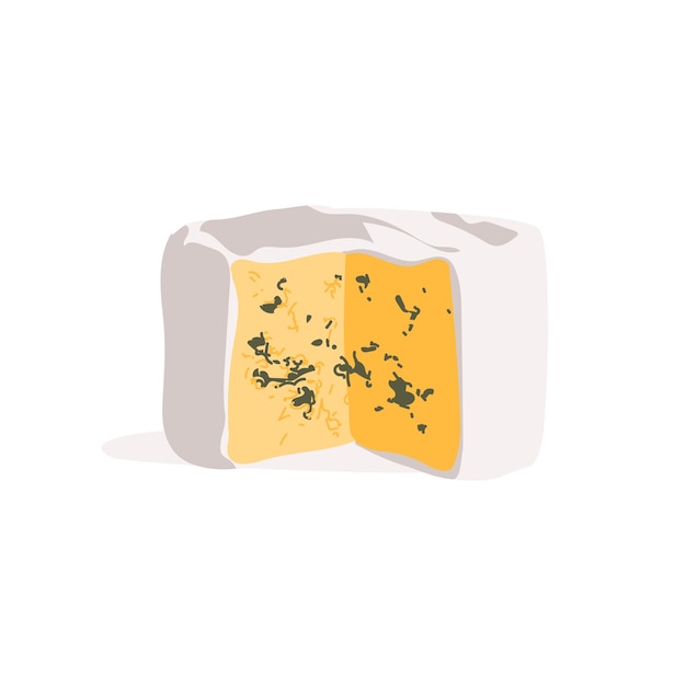 Vector fresh cheese wheel