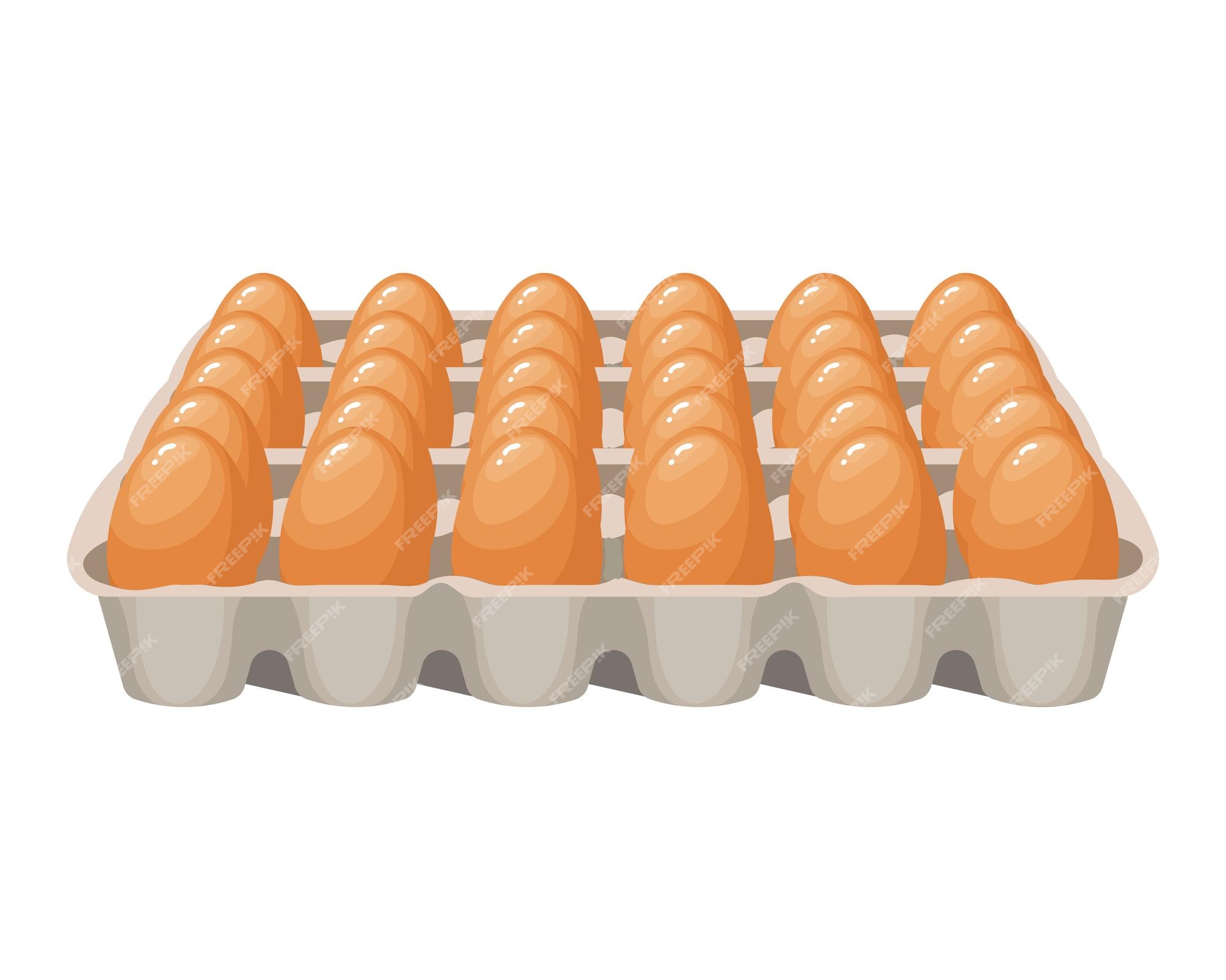 Chicken eggs are fresh in a cardboard package on transparent background PNG  - Similar PNG