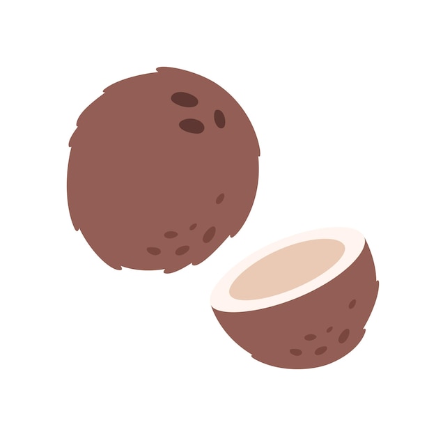 Vector fresh coconut. exotic and tropical fruit. healthy food. vector illustration in flat style