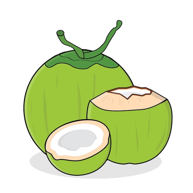 fresh coconut fresh coconut water coconut vector logo design cartoon icon illustration