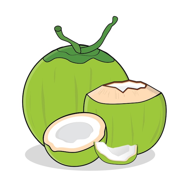 fresh coconut fresh coconut water coconut vector logo design cartoon icon illustration