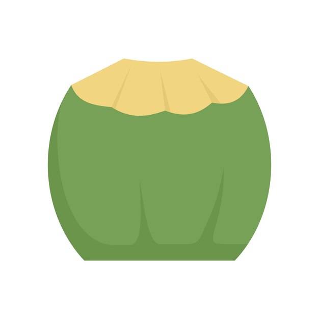 벡터 신선한 코코넛 아이콘 흰색 배경에 고립 된 신선한 코코넛 벡터 아이콘의 평면 그림