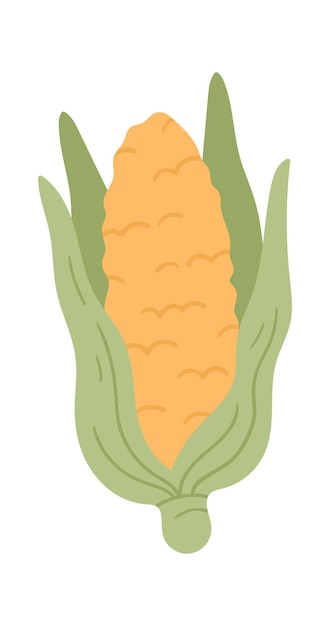 Fresh Corn icon Vector illustration