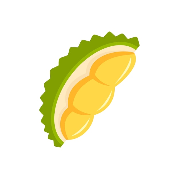 Vector fresh durian piece icon flat illustration of fresh durian piece vector icon for web design