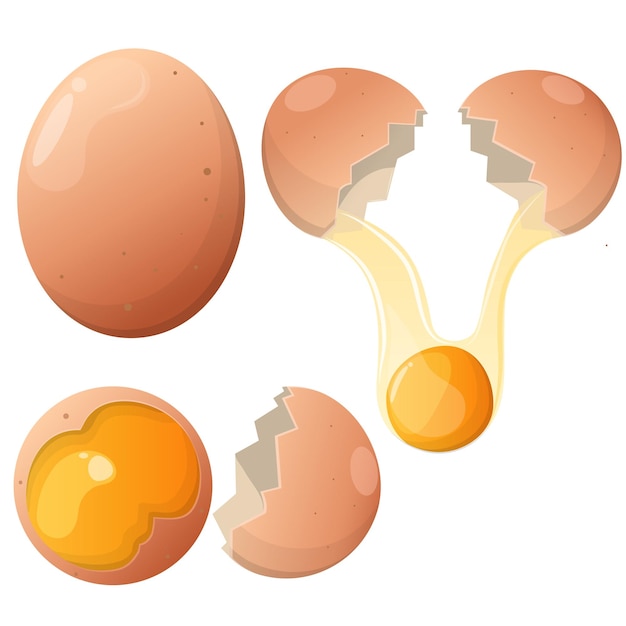 Fresh egg vector cartoon illustration. Broken eggs with cracked eggshells. Egg half with yolk