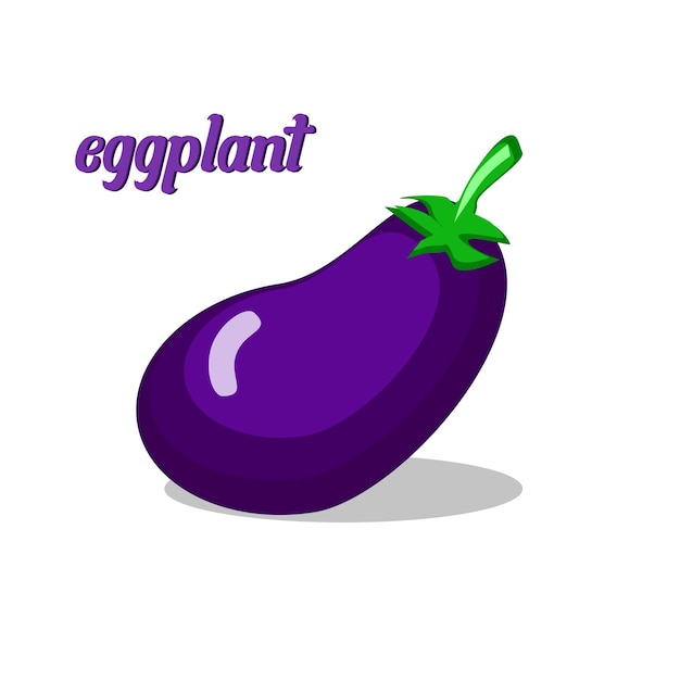 Fresh eggplant illustration