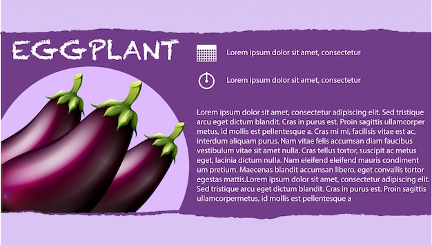 Vettore melanzane fresche e design del testo