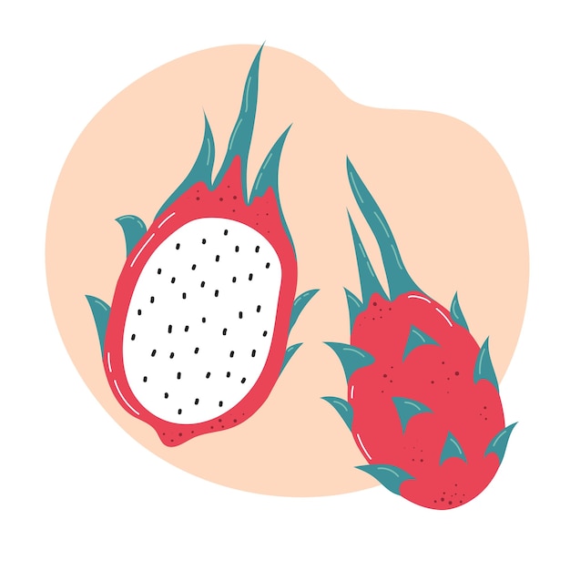 Fresh exotic fruitdragon fruit Healthy eating Vector illustration