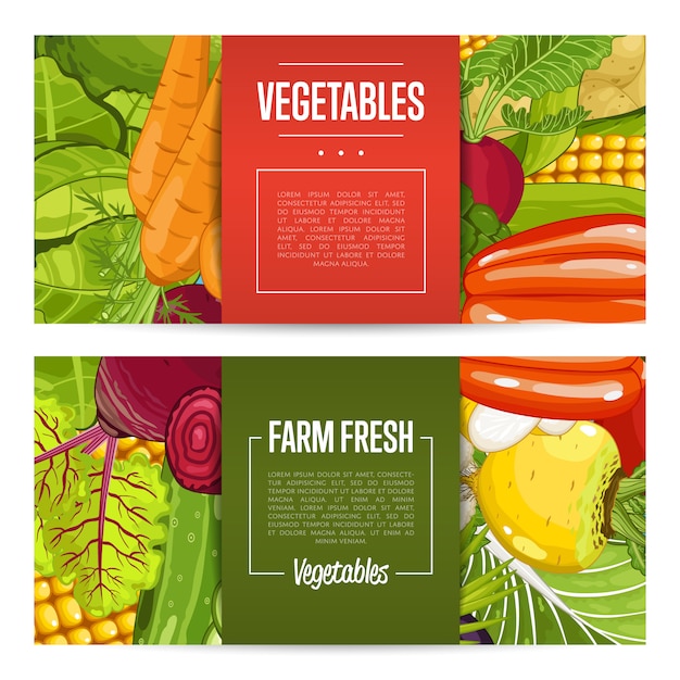 Vector fresh farm food banners with vegetable