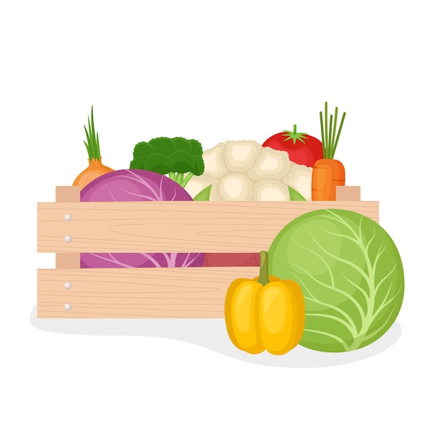 Fresh farm vegetable in wooden box, vector illustration