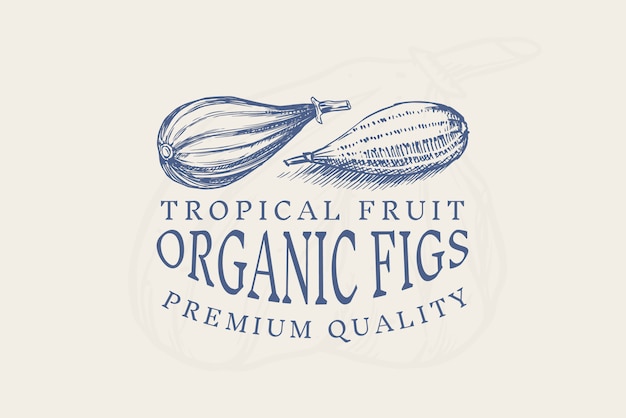 Fresh fig badge. fruit foliage label or logo. cut pieces. detox spice.