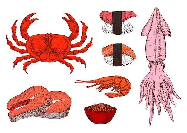 신선한 생선 갑각류 캐비아와 스시 스케치