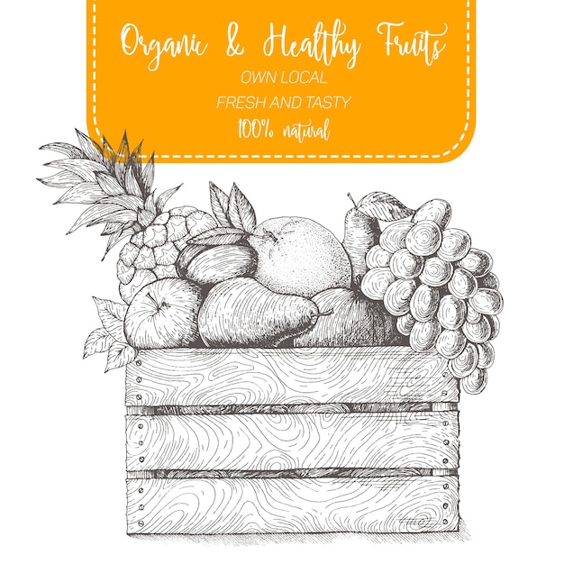 Fresh fruit in box. Natural food for farmers market. Hand drawn vector illustration.