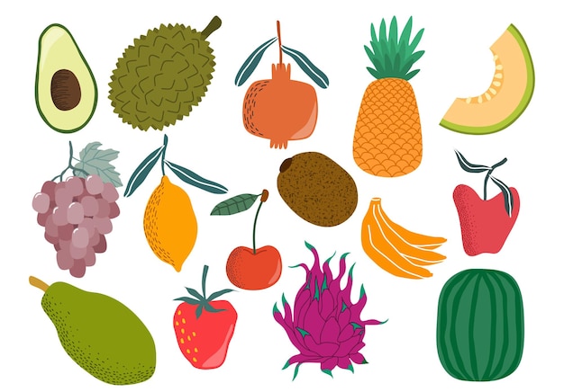 Vector fresh fruit doodle vector set.