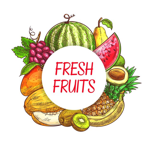 Fresh fruits sketch poster farm market