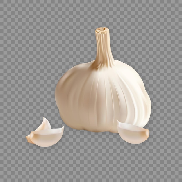 Fresh garlic on transparent background