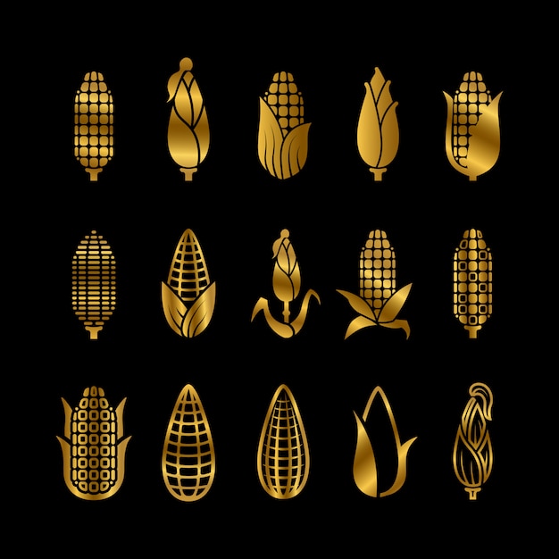 Fresh golden corn harvest set