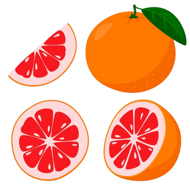 Fresh grapefruit.Whole grapefruit fruits and an grapefruit cut in half.vector illustration