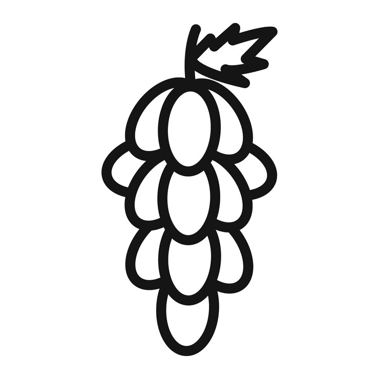 Vector fresh grapes icon for healthy eating