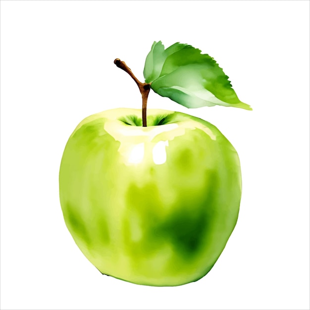 Fresh Green Apple Fruit with Leaf Watercolor Painting Illustration Vector