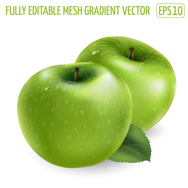 Fresh green apple - healthy food design. realistic illustration.