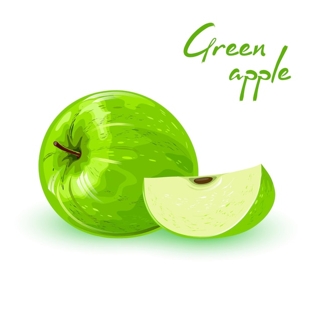 Vector fresh green apple and segment of it