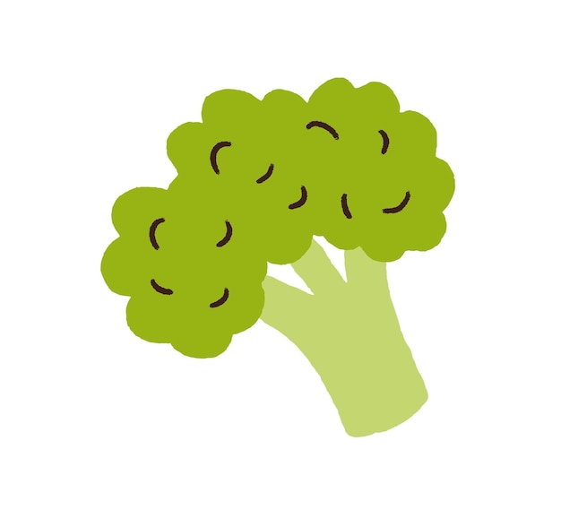 Fresh green broccoli. Brocoli vegetable in doodle style. Healthy brocolli food. Raw veggie. Colored flat vector illustration of brokoli isolated on white background.