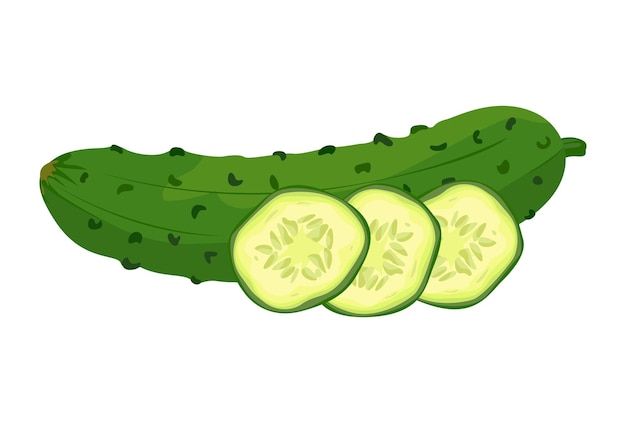 fresh green cucumber icon with sliced cucumber vitamin vegetable vector illustration of healthy food