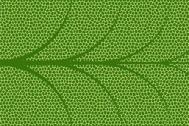 Vector fresh green leaf texture natural abstract background