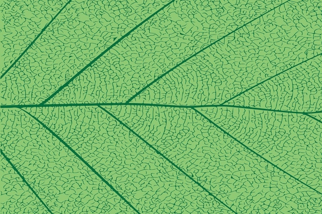 Vector fresh green leaf texture natural abstract background