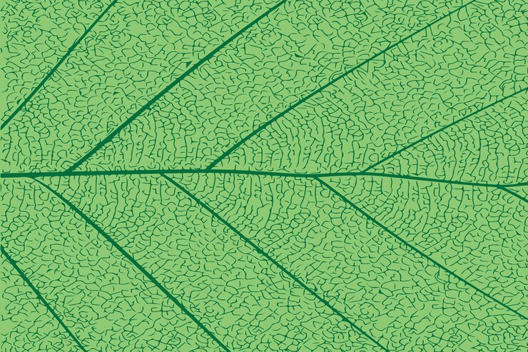 Vector fresh green leaf texture natural abstract background