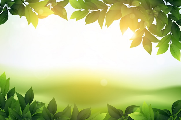 Vector fresh green leaves  background natural