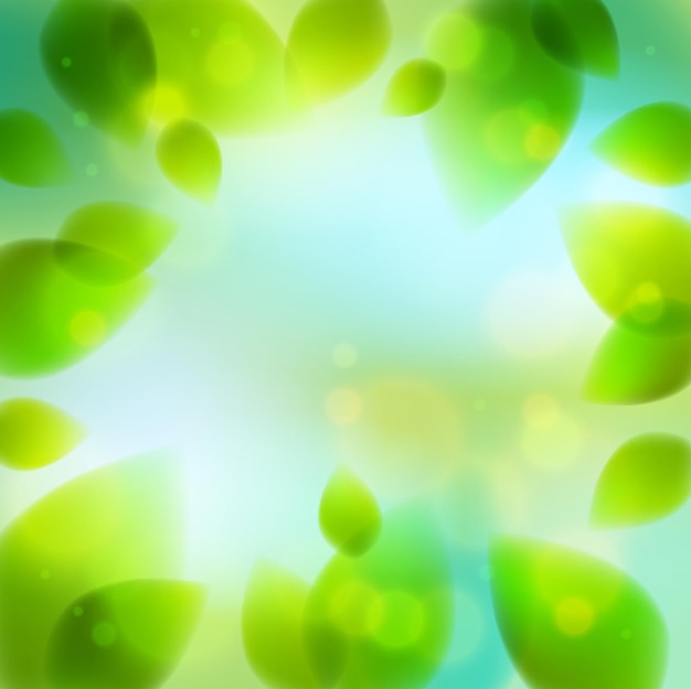 Fresh green leaves summer or spring blurred defocused, realistic bright vector illustration with copy space for text.