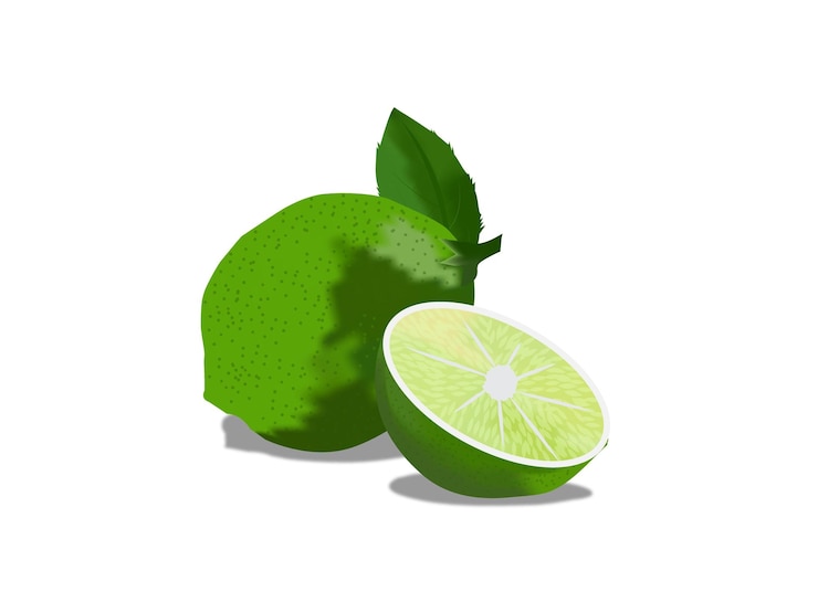 Vector fresh green lemon illustration