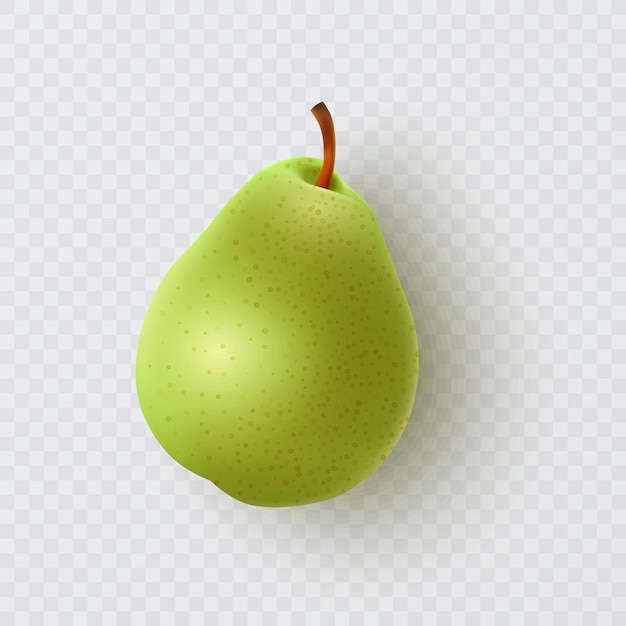 Fresh green pears isolated on white vector illustration