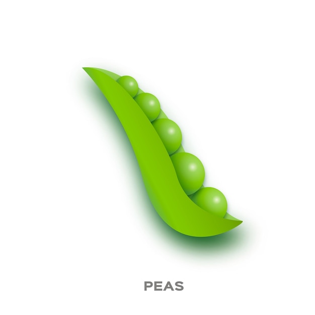 Vector fresh green peas in paper cut style on a white background natural organic vegetebles