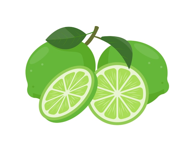 Fresh green slice of lime Organic fruit lime piece for lemonade juice or vitamin C healthy food