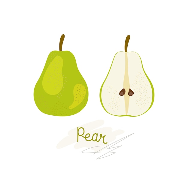 Vector fresh green whole and halved pear leaves fruits on a white background doodle handdrawn