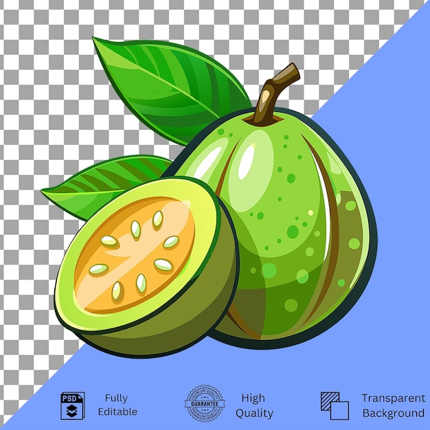 fresh guava fruit illustration