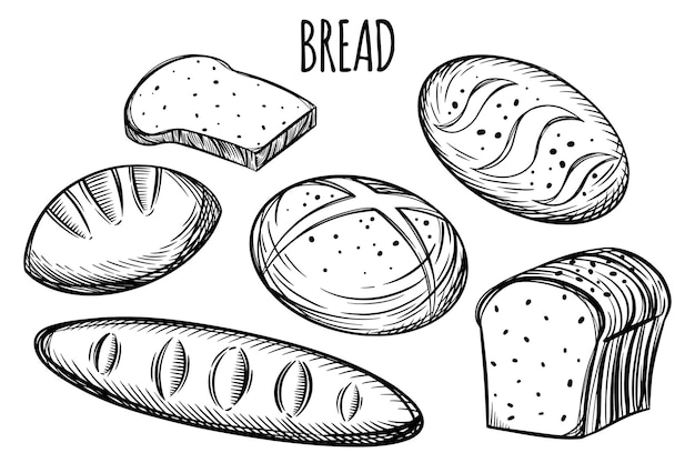 Fresh hand drawn white bread whole grain bread baguette and buns for bakery or pastry shop