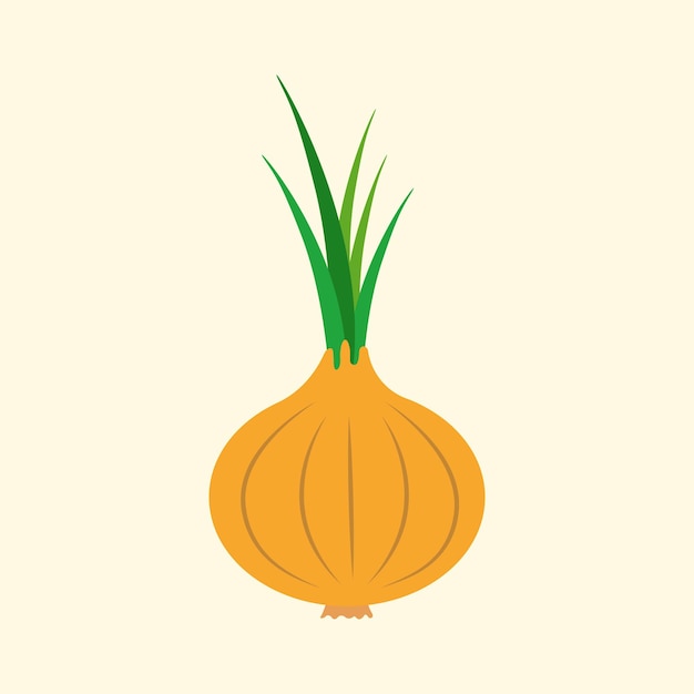 Fresh healthy onion Cartoon style