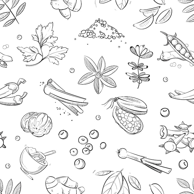 Fresh herbs and spices doodle hand drawn