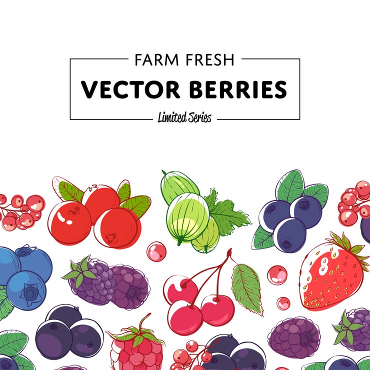 Vector fresh and juicy berries retail background
