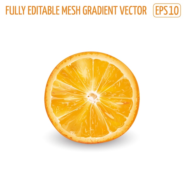 Fresh juicy orange - healthy food design. Realistic illustration.