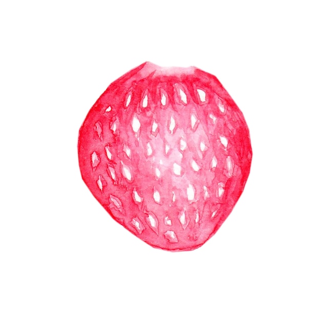 Fresh juicy strawberry